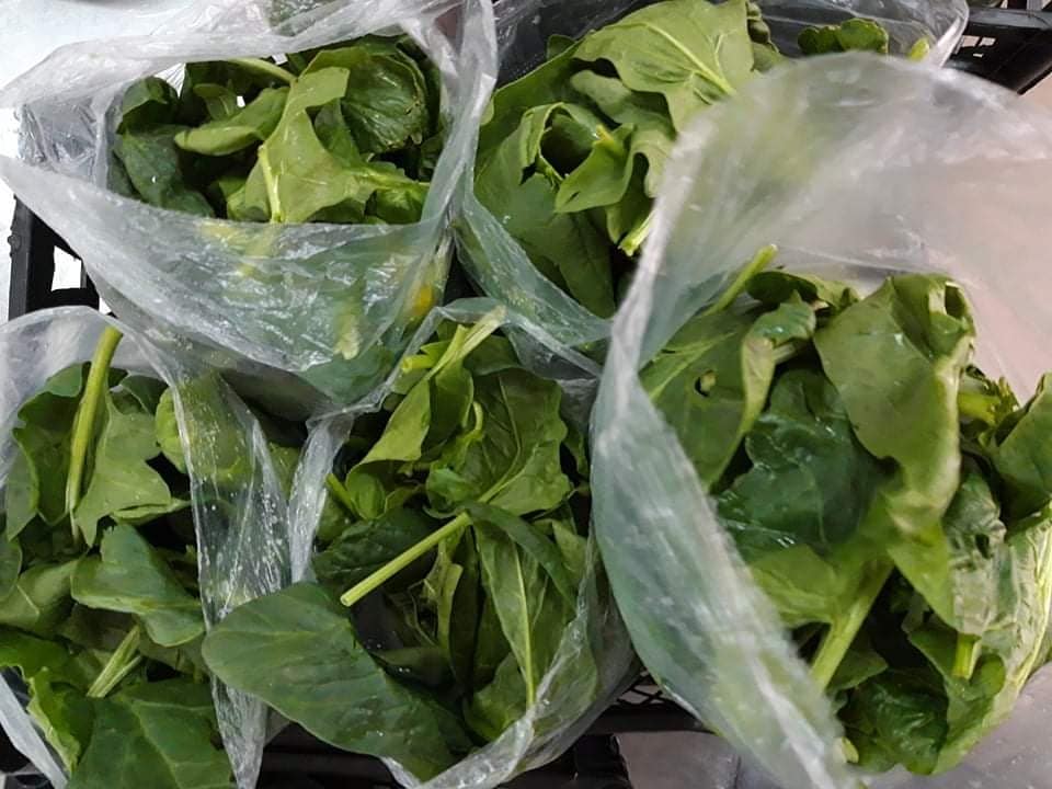 Spinach to be delivered to those in need in Serbia during COVID-19.